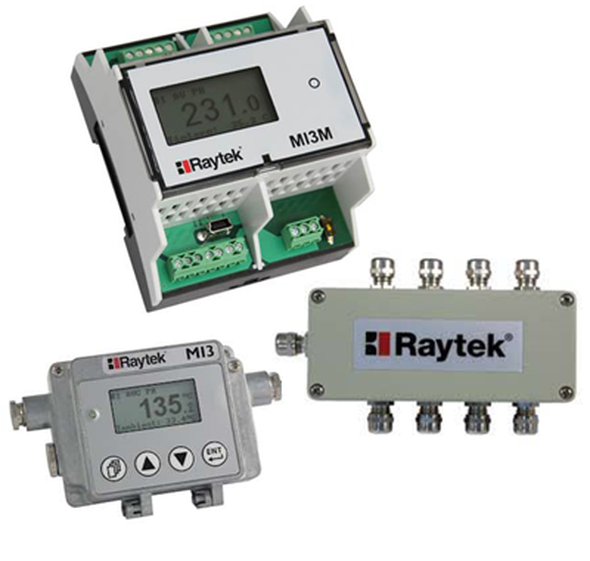 Raytek MI3 Digital Infrared Thermometer